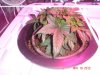 DSC00750.jpg