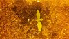 2012-04-19_13-59-48_299.jpg