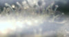 Picture 1.png