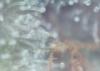 Picture 5.png