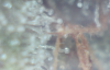 Picture 6.png