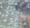 Picture 7.png