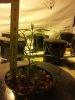 20120420_111532.jpg