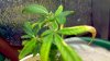 2012-04-21_11-37-55_465.jpg