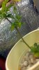 2012-04-21_11-32-16_590.jpg