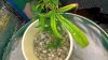 2012-04-21_11-31-42_931.jpg