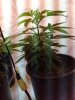 april 21 2012 017 jb2.jpg