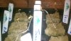 IMAG0135.jpg
