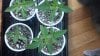 2012-04-21_14-16-09_781.jpg