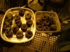 DSC05817.jpg