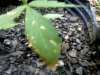 DSC00022.jpg