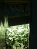 IMG_0089.jpg