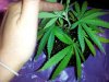 20120423_174225.jpg 20120423_174225.jpg