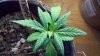 2012-04-11_06-48-47_331.jpg 2012-04-11_06-48-47_331.jpg