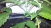 2012-04-23_15-54-30_918.jpg 2012-04-23_15-54-30_918.jpg