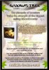 Buddhas tree leaflet.jpg