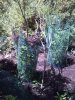 P_00049.jpg