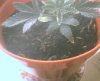 Photo004.jpg