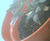 Photo006.jpg