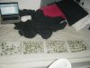 2008_0821Harvest0006.jpg