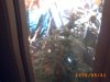 plant 005.jpg
