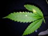 20120425_120046.jpg 20120425_120046.jpg