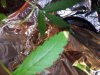 20120425_113752.jpg 20120425_113752.jpg