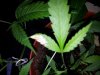 20120425_120106.jpg 20120425_120106.jpg