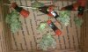 thegrow0100.jpg