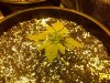 IMG-20120425-00359.jpg