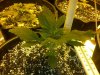 IMG-20120425-00358.jpg