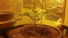 2012-04-25_16-52-36_51.jpg