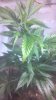 2012-04-25_09-17-37_70.jpg
