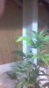 2012-04-25_09-17-56_893.jpg