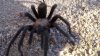 2010-10-04_16-44-02_533.jpg