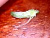 20120426200635.jpg