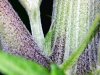 20120426194910.jpg