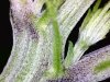 20120426195011.jpg