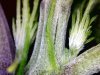 20120426195050.jpg