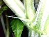 20120426195215.jpg