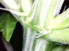 20120426195231.jpg