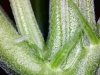 20120426195259.jpg