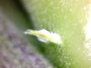 20120426200110.jpg