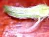 20120426200526.jpg