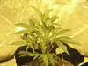 week day 9 002.jpg week day 9 002.jpg