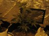 week day 9 004.jpg week day 9 004.jpg