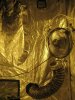 day 9 003.jpg day 9 003.jpg