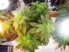 100_5906.jpg