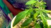 2012-04-25_22-27-26_461.jpg