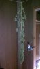 IMAG0458.jpg